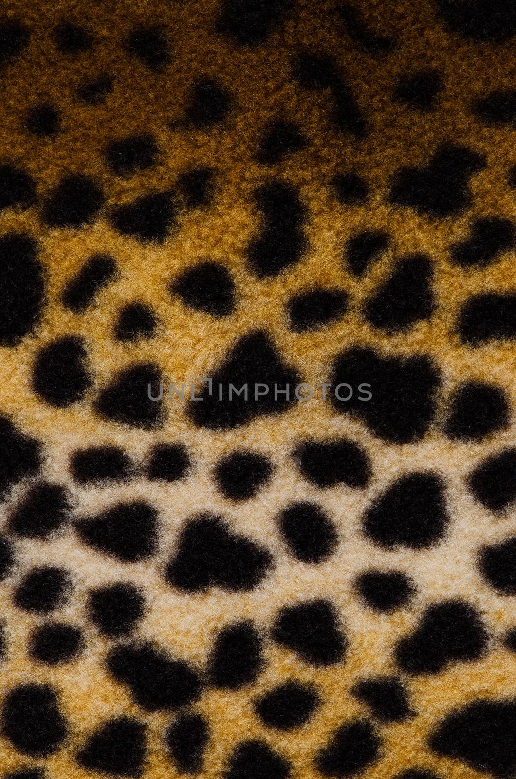 Pattern of a tiger skin wildlife background.