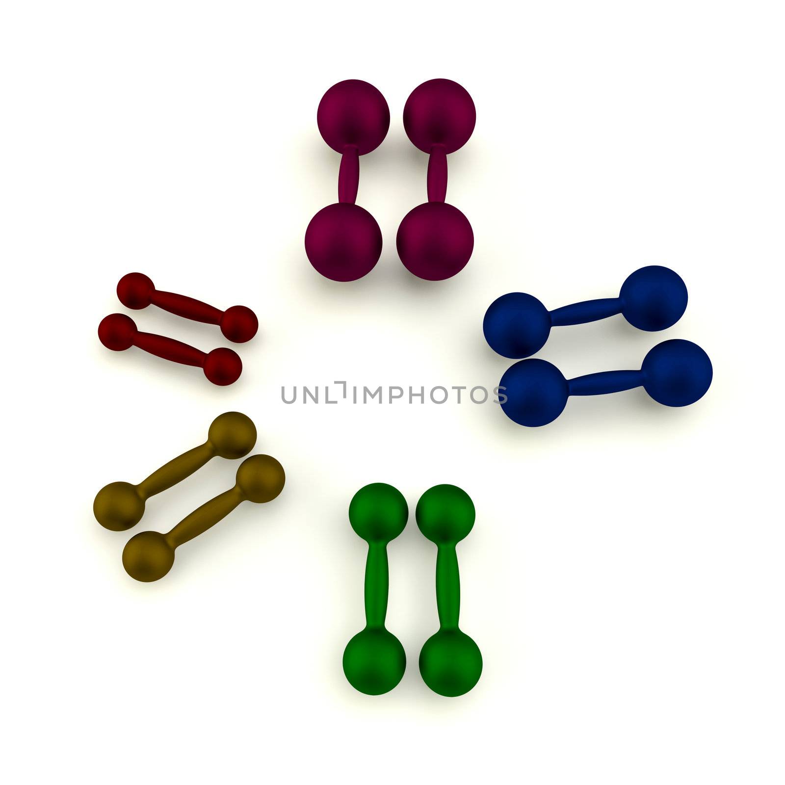 Colorful dumbbells group on the white background