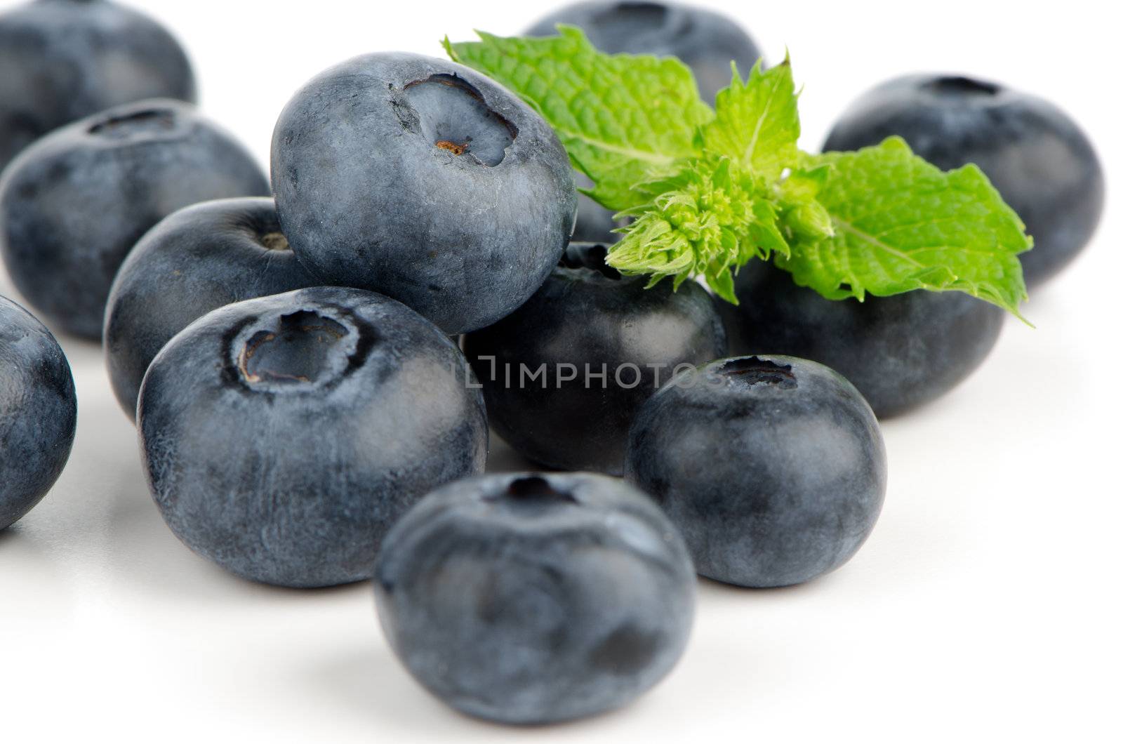 Ripe blueberry with mint closeup on white background.