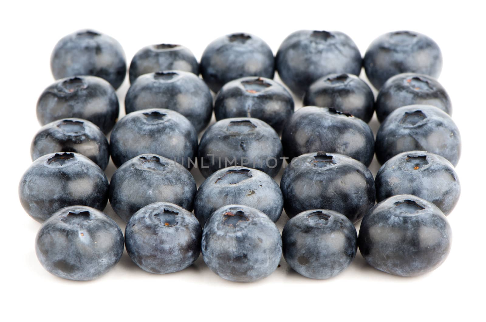Group of fresh blueberries isolated on white background.