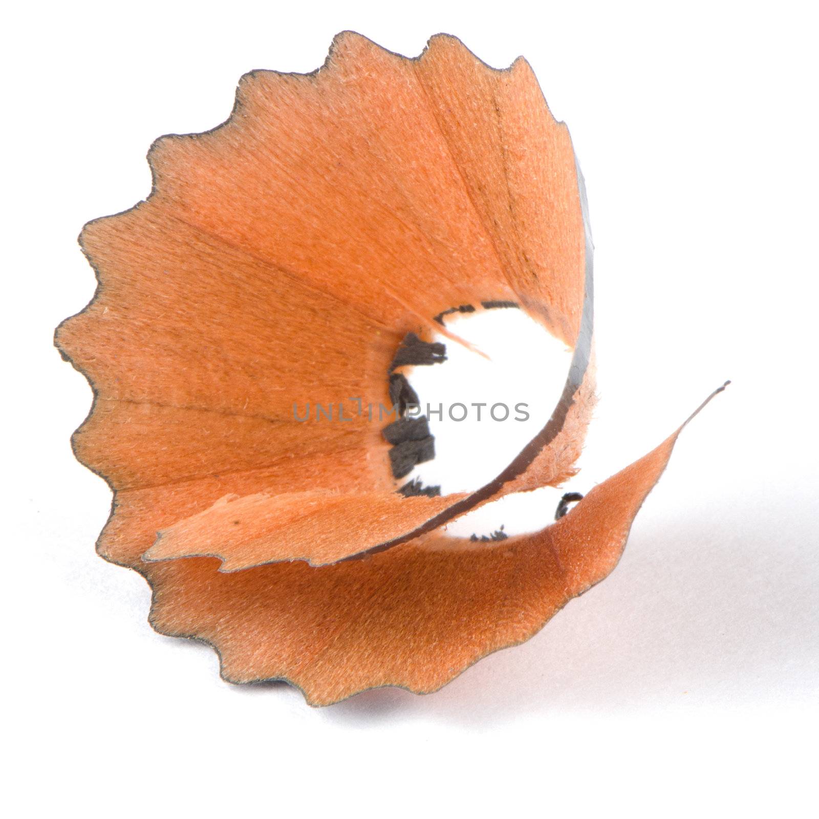 Closeup of pencil shaving isolated on white background.