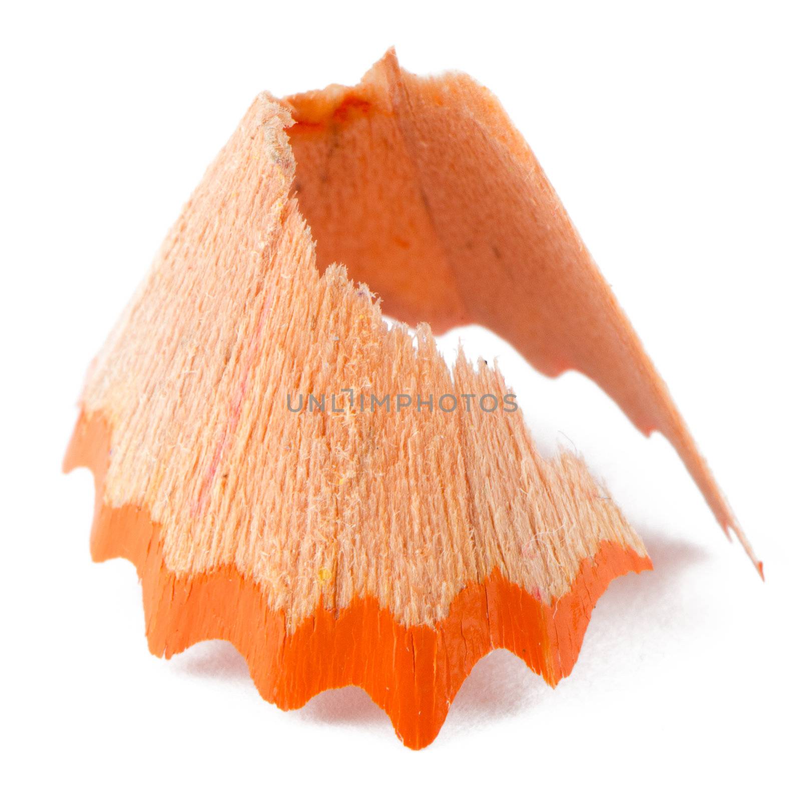 Closeup of pencil shaving isolated on white background.