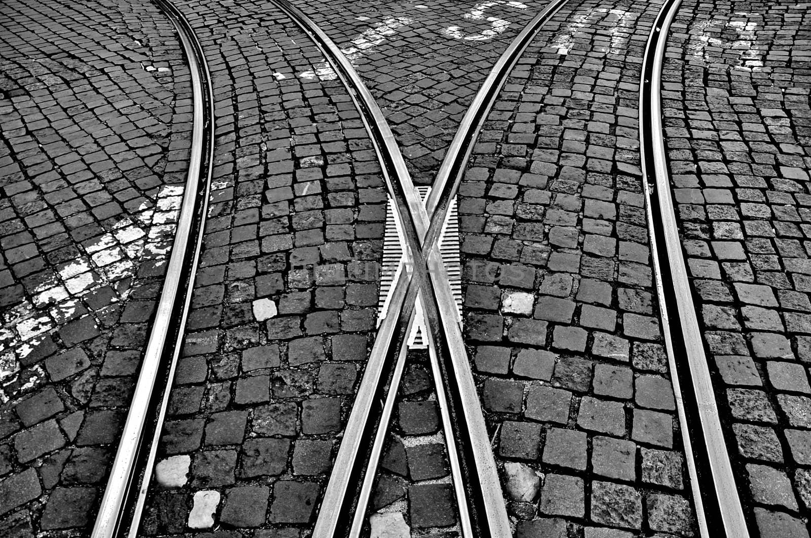 Railway crossroad with a bus lane signal by anderm