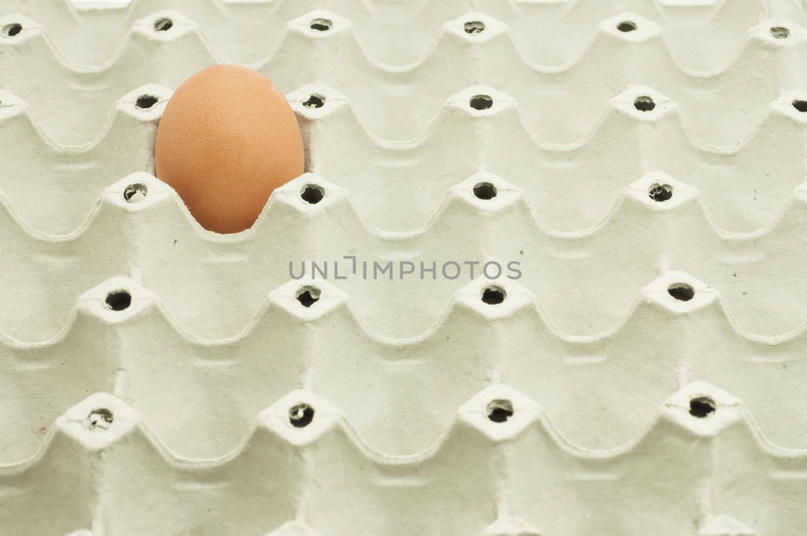 Close up of a single egg in package by TanawatPontchour