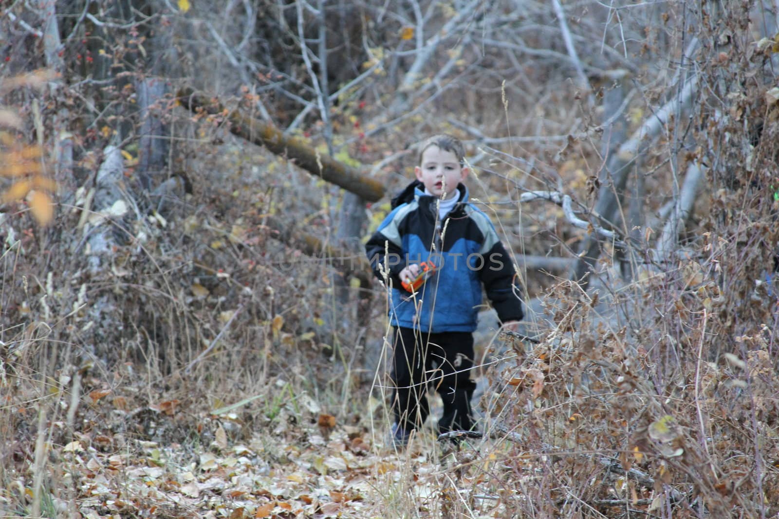 Small Child in the Forest