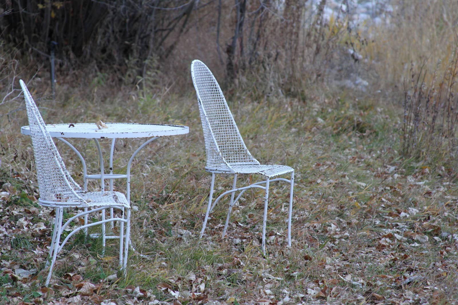 Lawn furniture in the woods by skater-girls.com