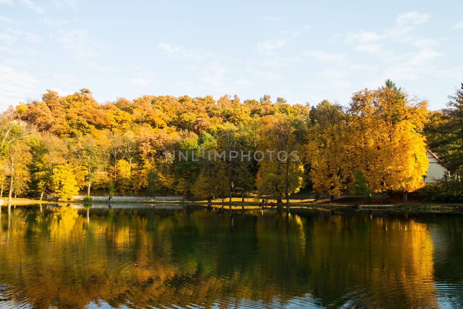 Beautiful colors of autumn landscape by the lake