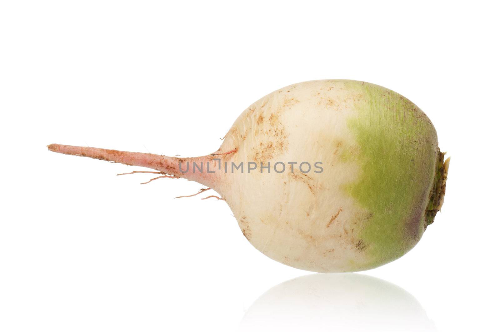 Fresh single radish isolated on white background