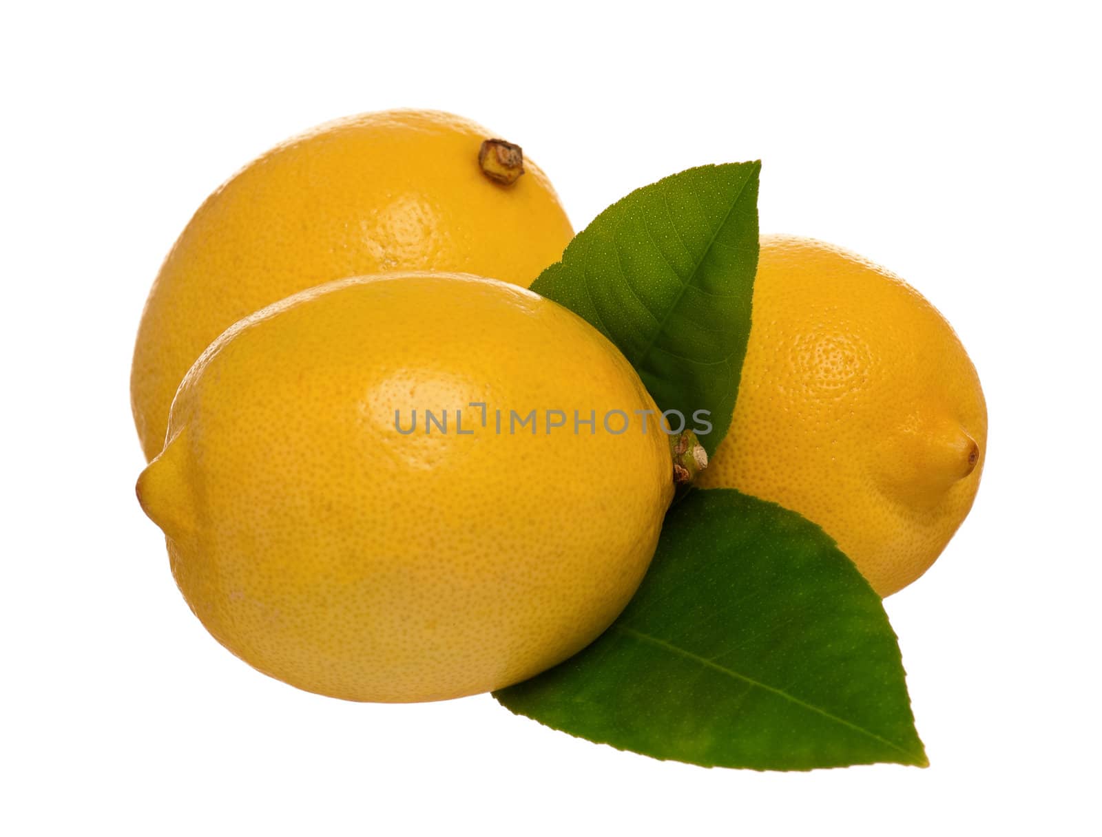 Fresh ripe lemons with green leaves isolated on white background