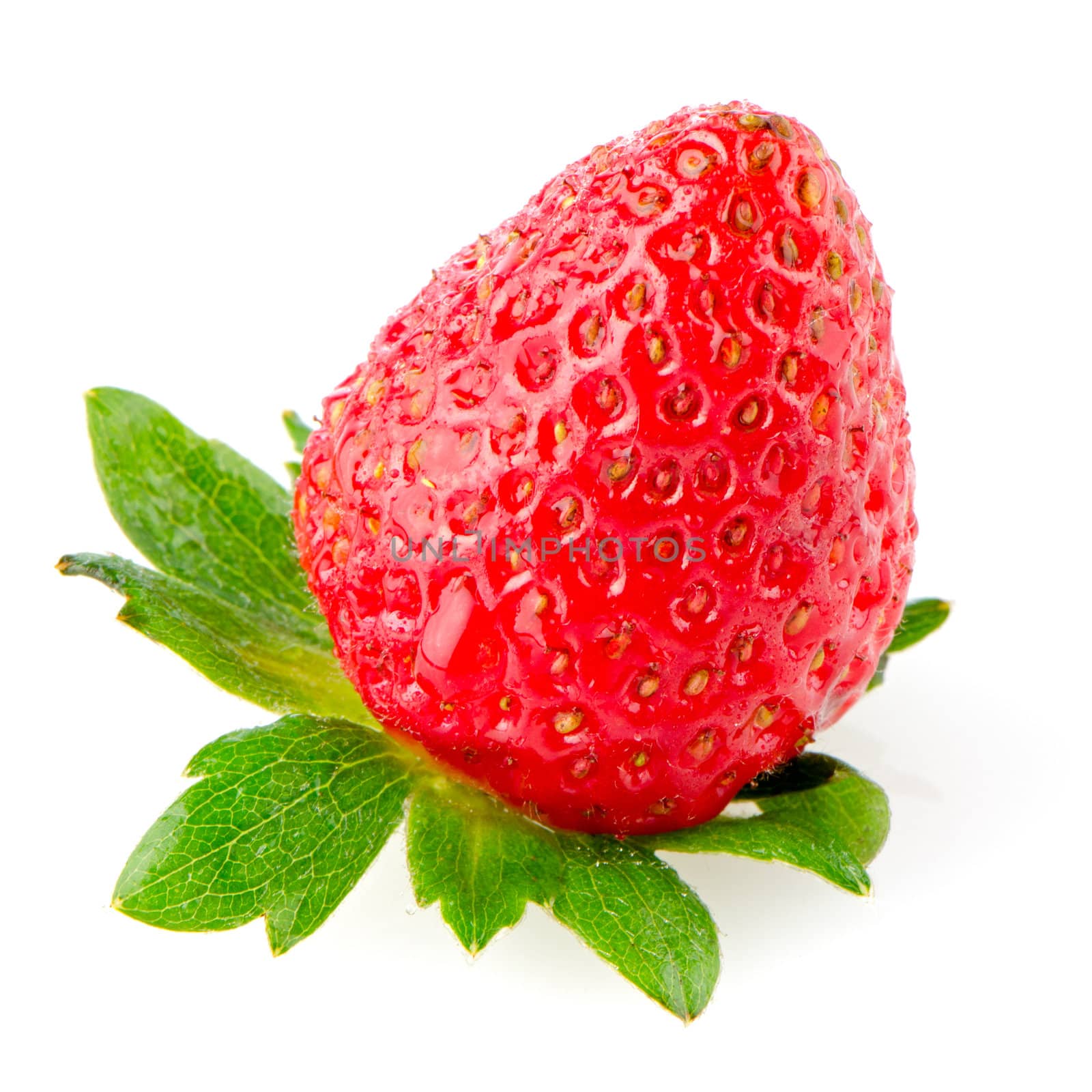 Fresh strawberry isolated on a white reflective background.