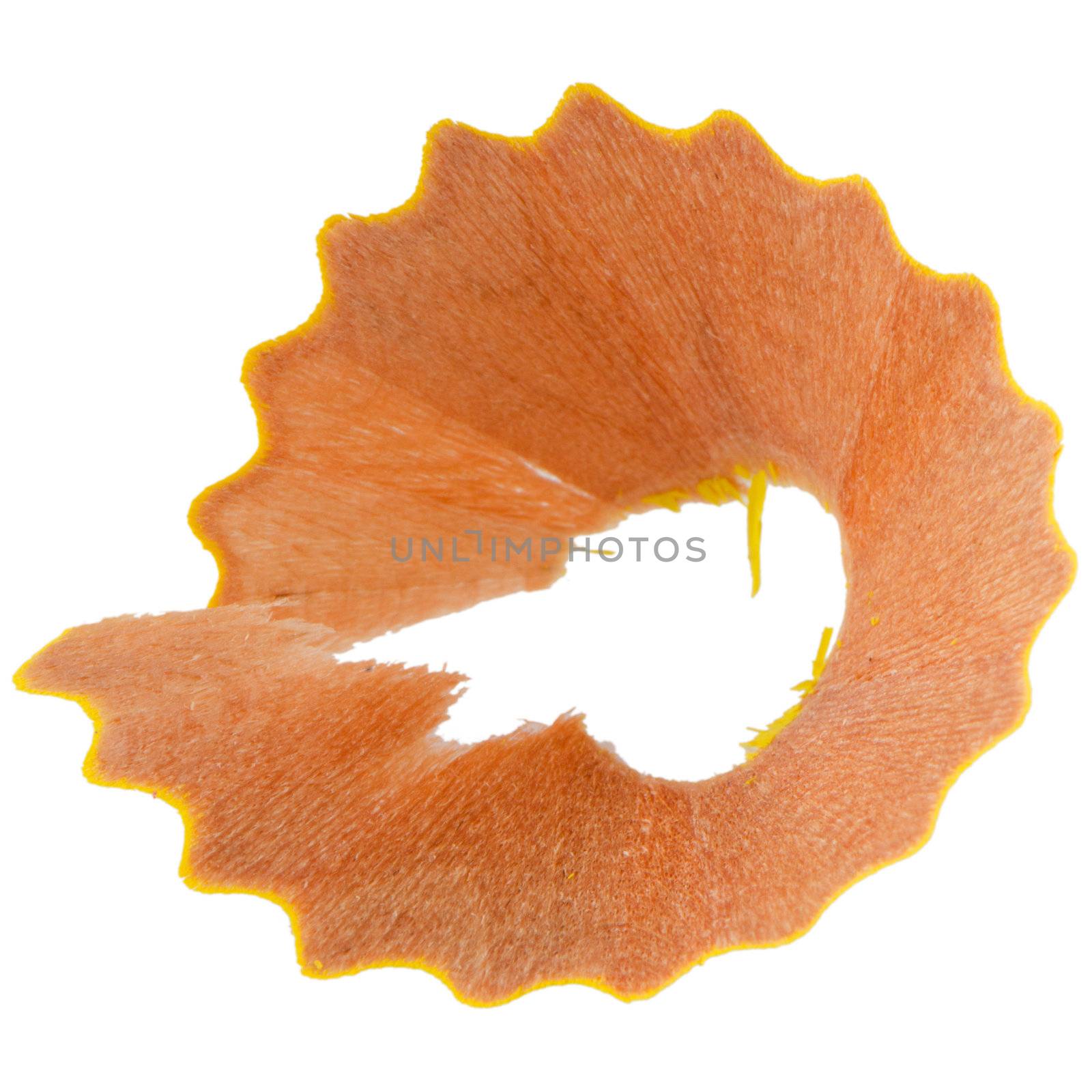 Closeup of pencil shaving isolated on white background.