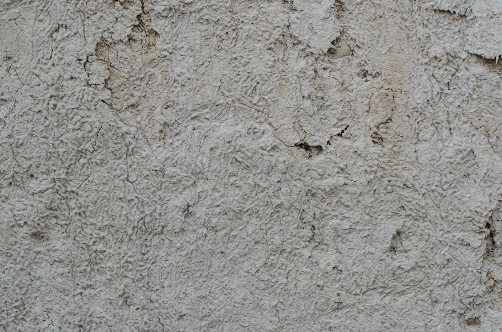 Closeup detail of white stucco wall.