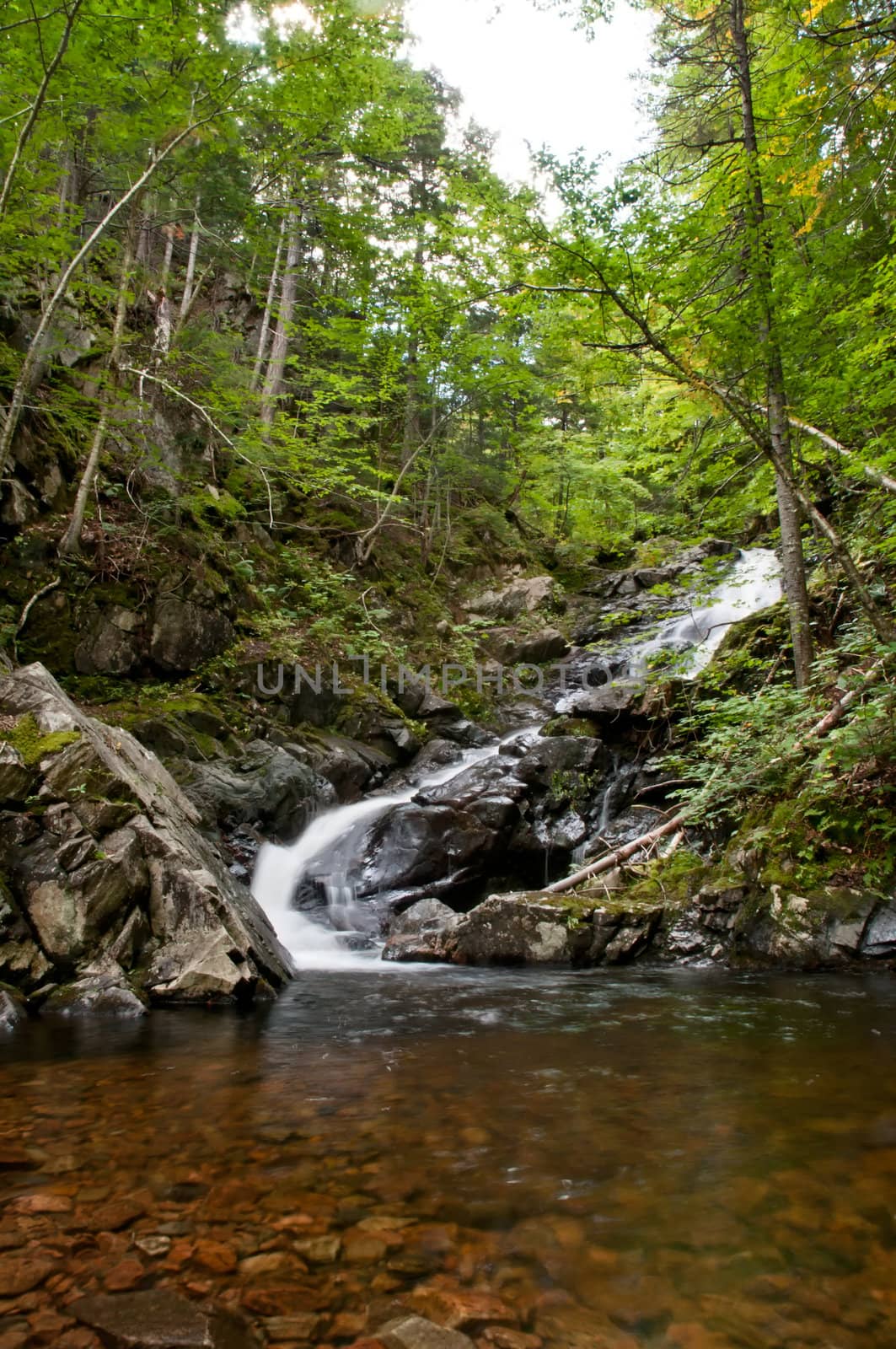 Waterfall in a forest in autumn season by 3523Studio