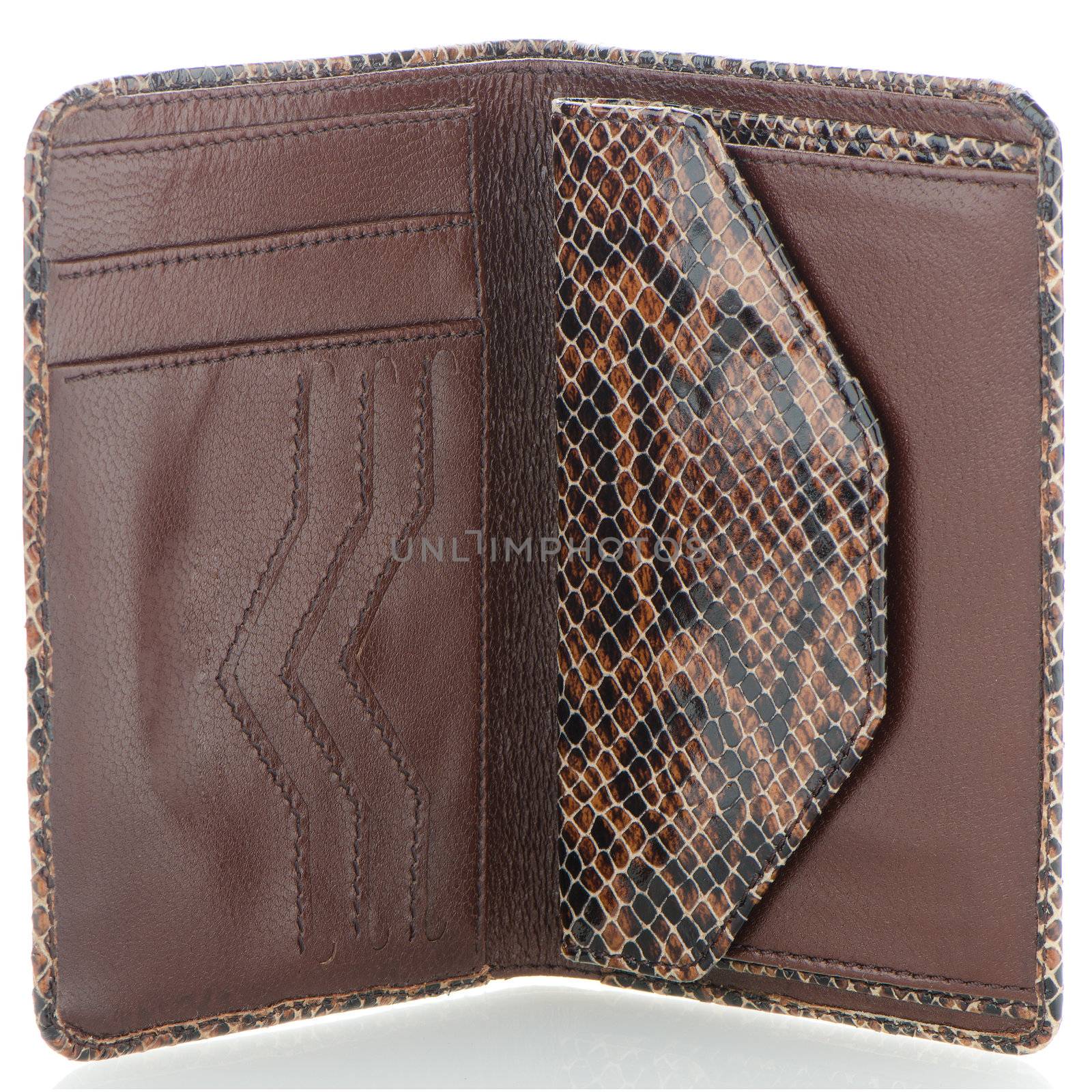 Snake skin leather wallet isolated on white background.