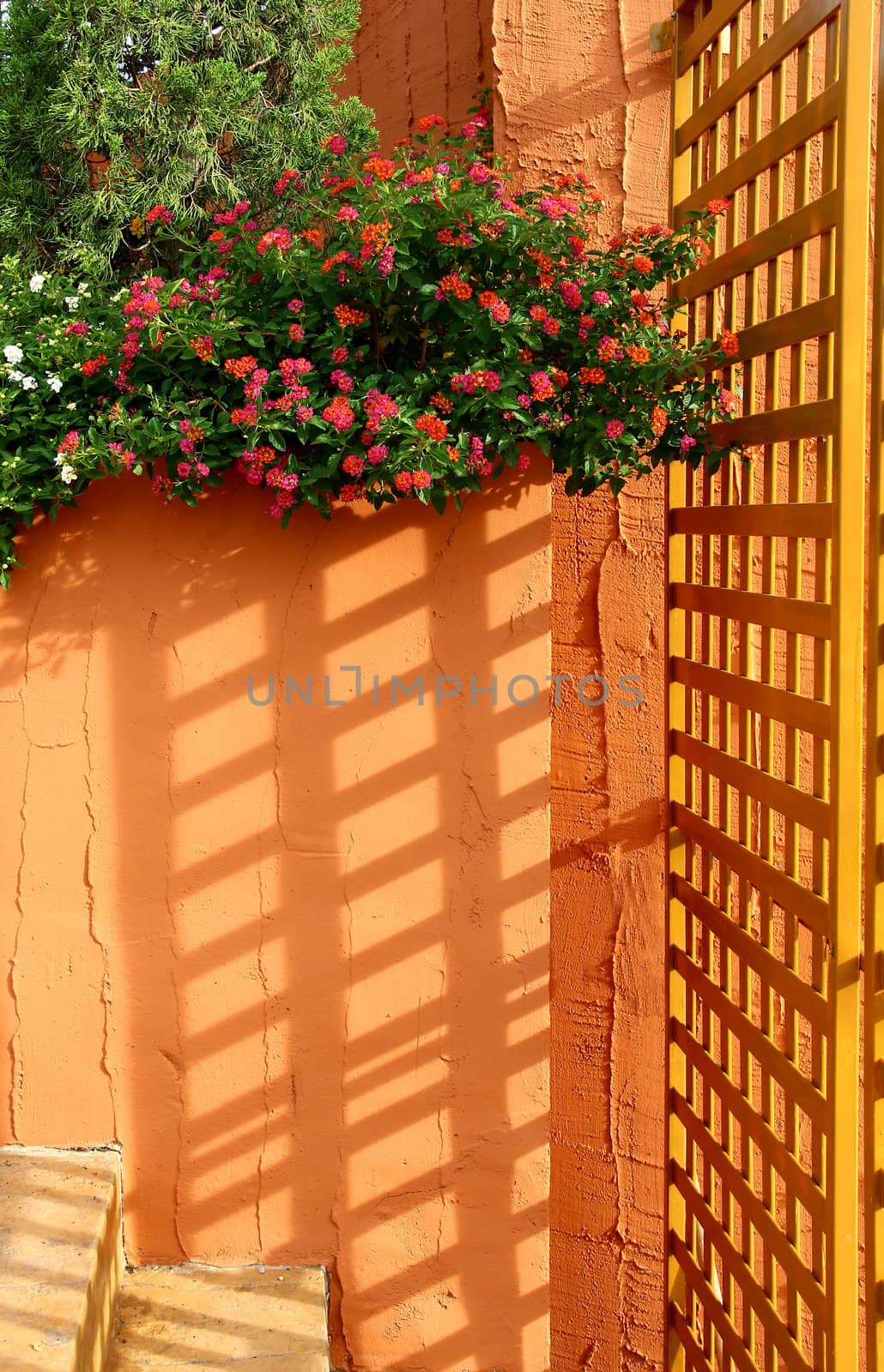 Sunlight through lath. Shadow appear on the brown wall.