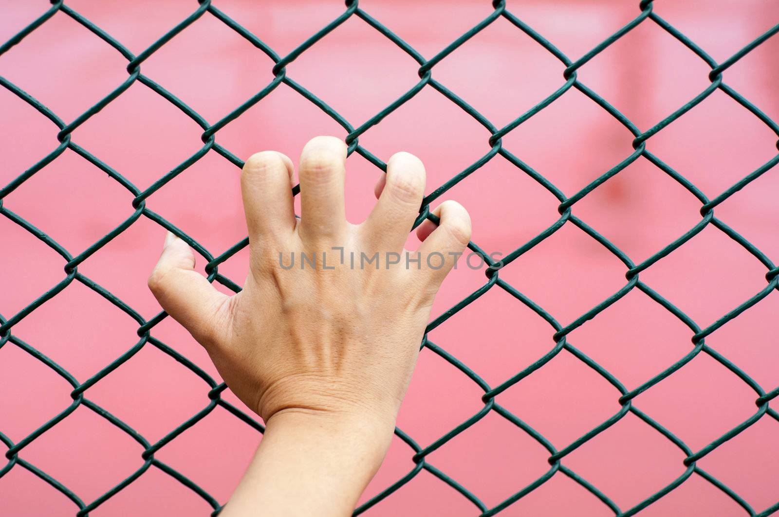 hand holding on chain link fence, red background