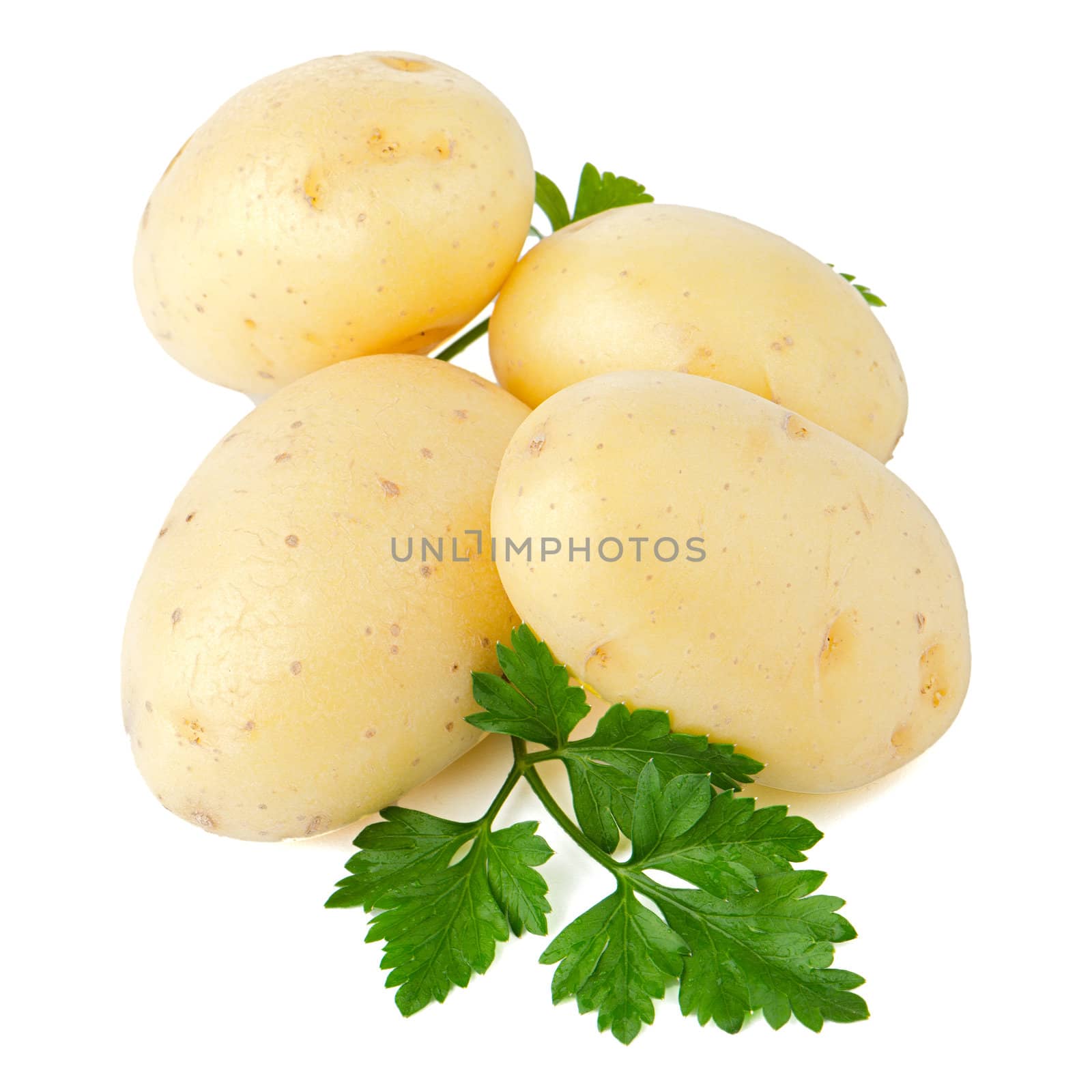 New potato and green parsley isolated on white background close up.