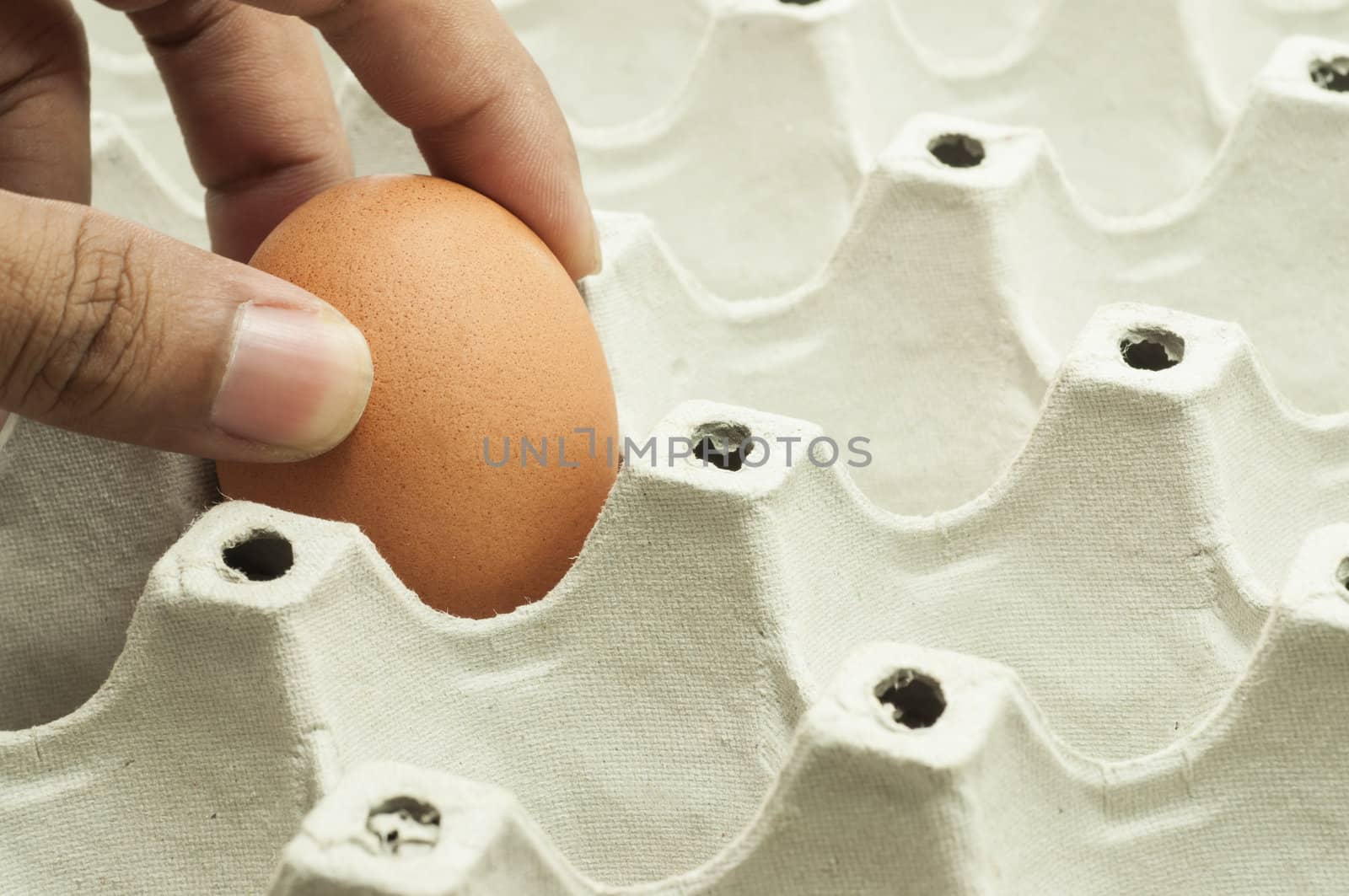 Hand picking an egg in package