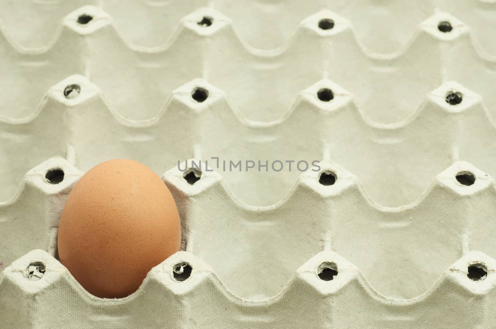 Close up of a single egg in package by TanawatPontchour