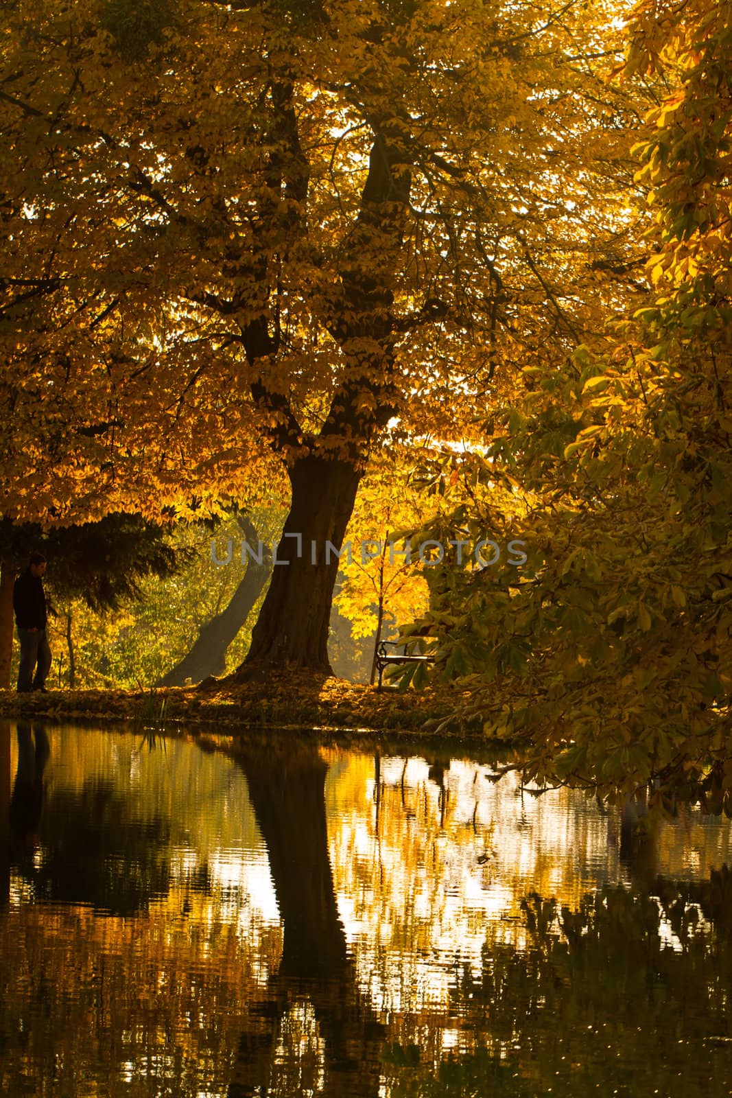 Beautiful colors of autumn landscape by the lake