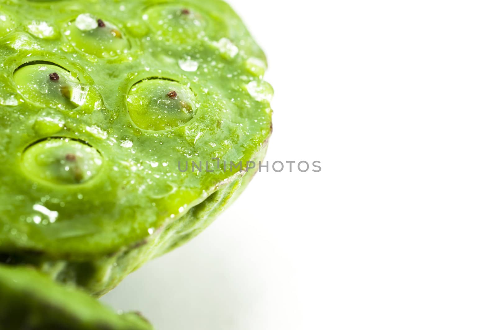 Lotus seeds by TanawatPontchour