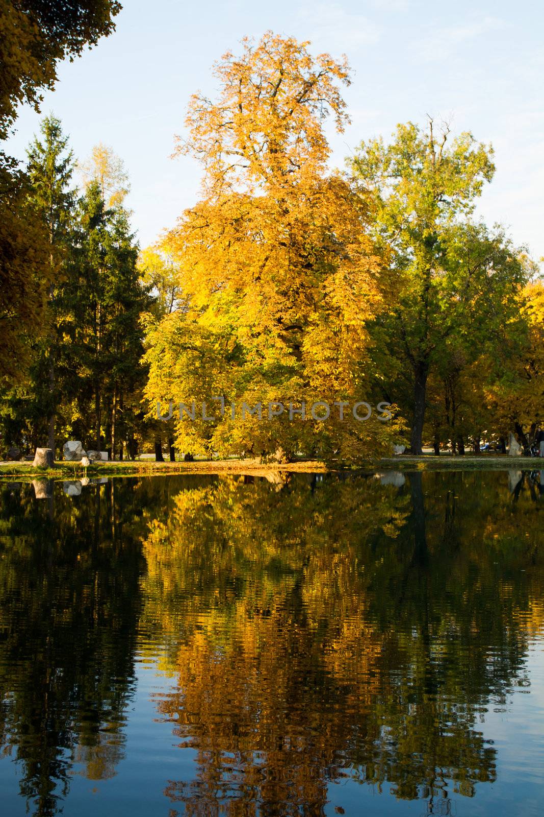 Autumn landscapes by NagyDodo