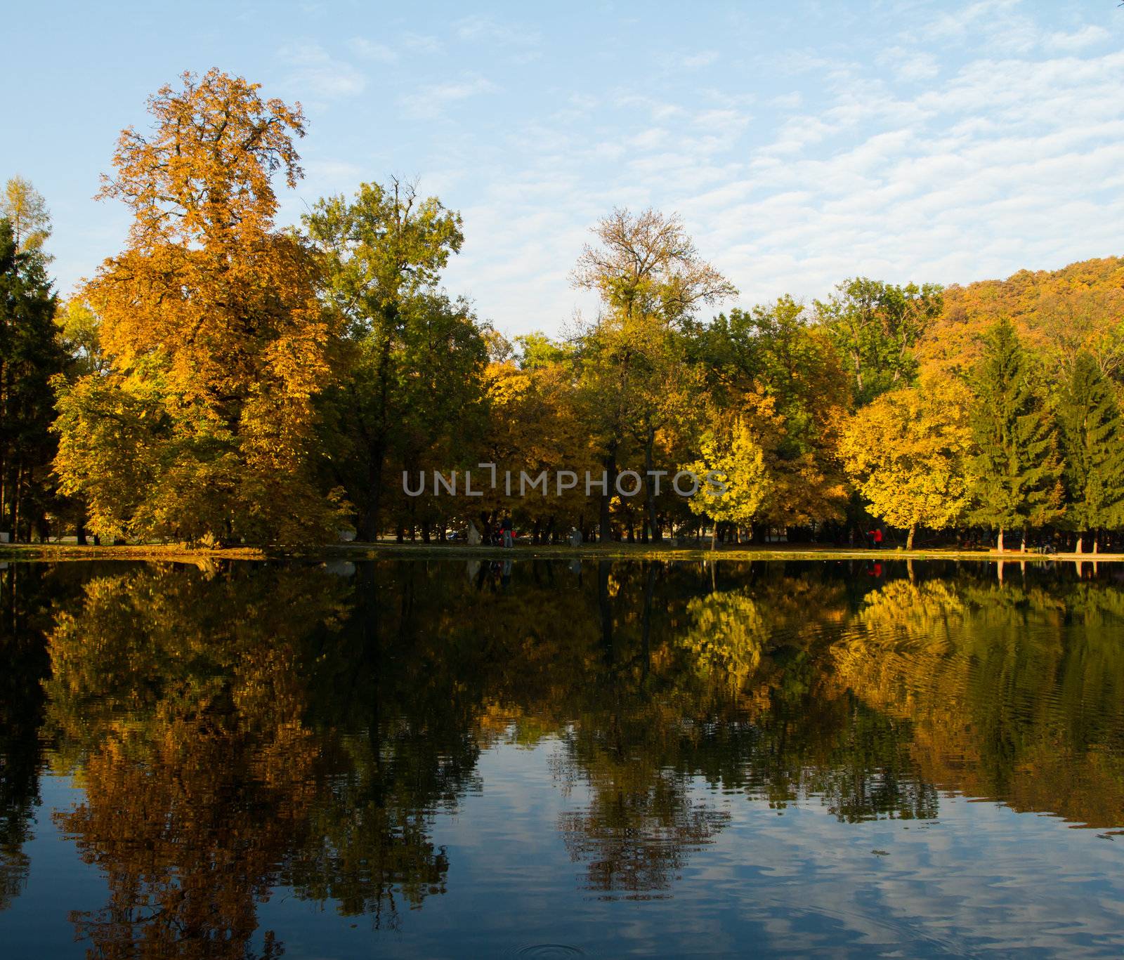 Beautiful colors of autumn landscape by the lake