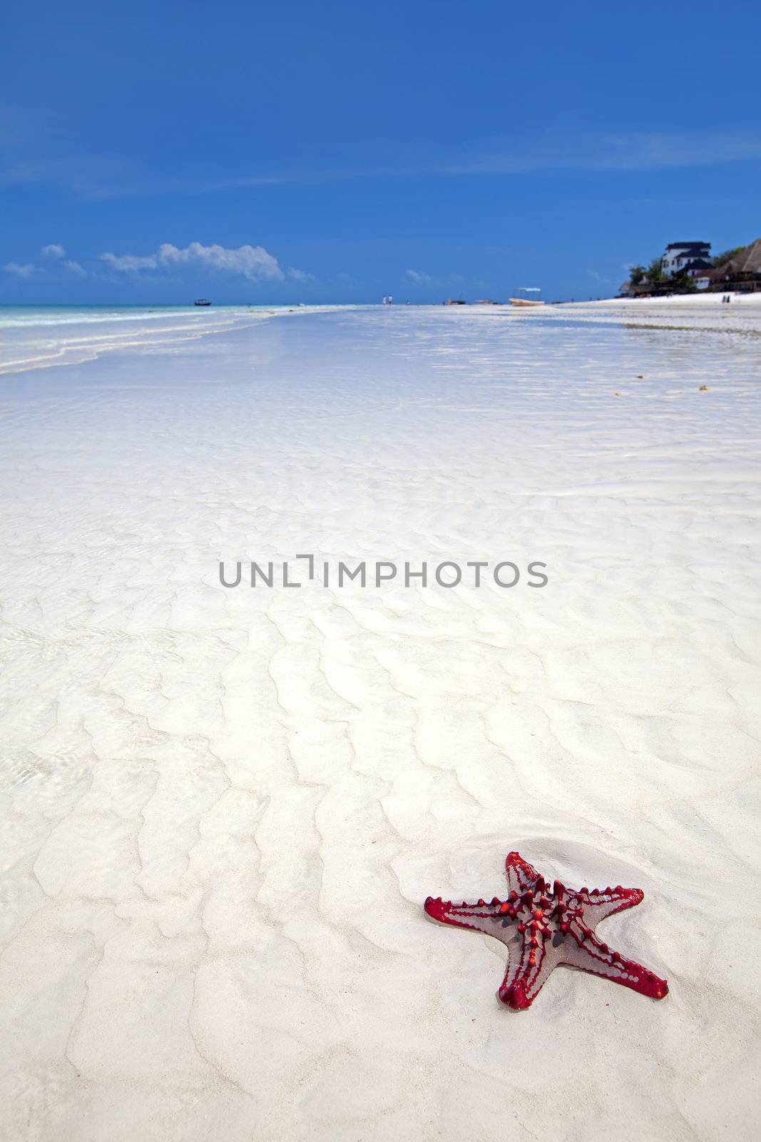 Zanzibar beach by kjorgen
