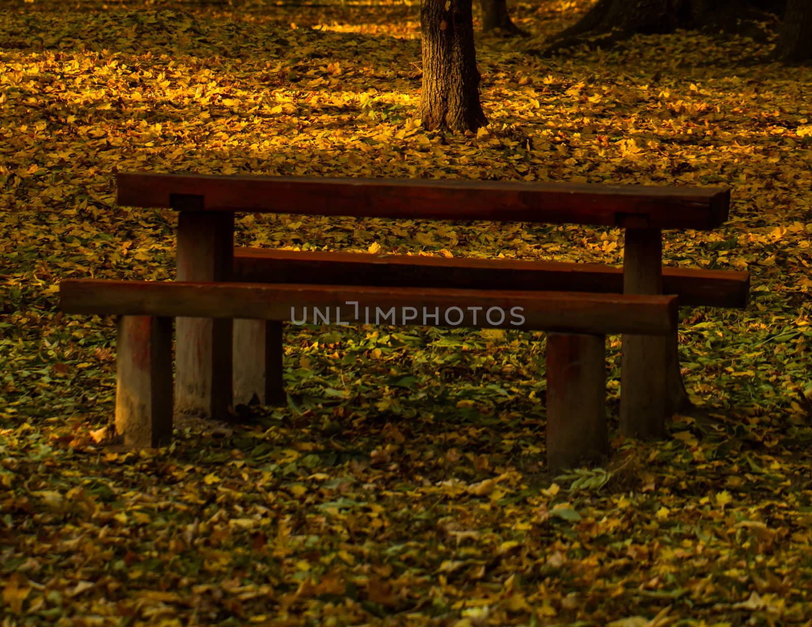 Beautiful colors of autumn landscape with bench