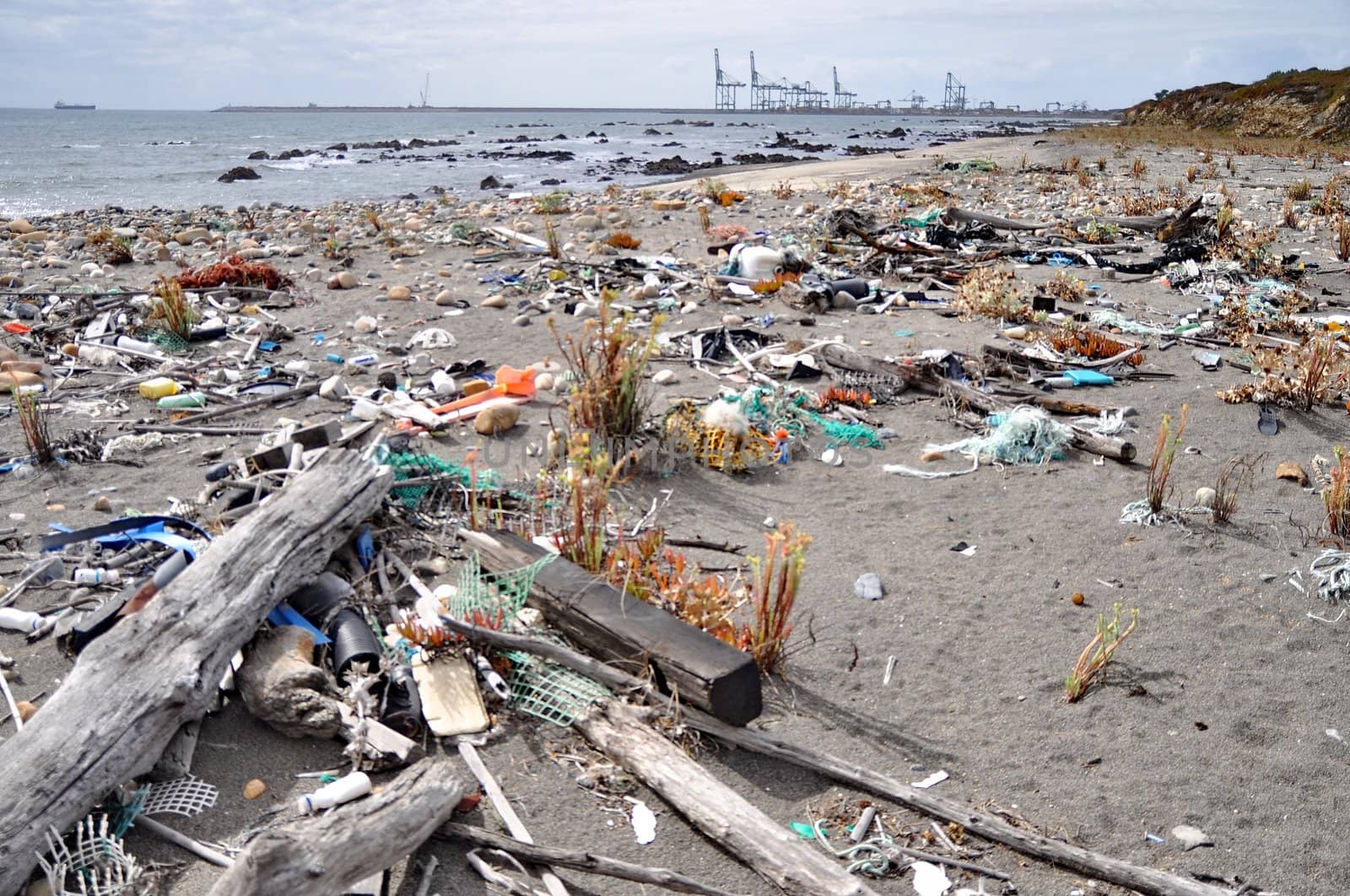 Trash on the seashore with cranes at the beackground by anderm