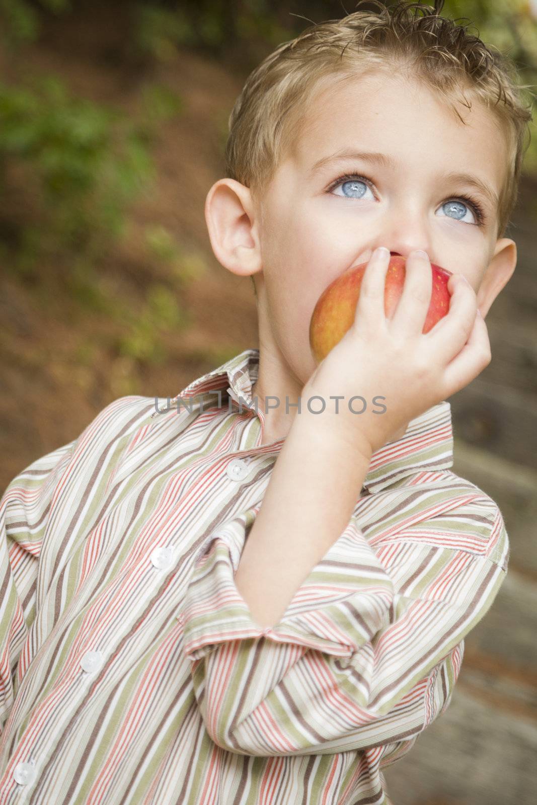 Adorable Child Boy Eating a Delicious Red Apple Outside.