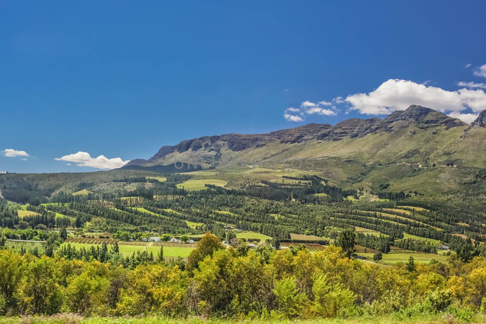 Beautiful landscapes of South Africa with lush green vegetation, beautiful mountains and clear blue sky with scattered fluffy clods