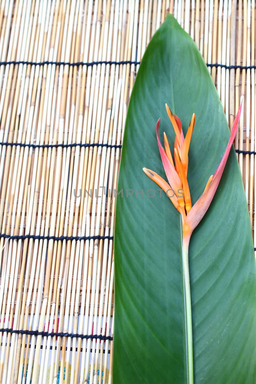 Heliconia flower and its leaf, put on the table cloth made from wooden