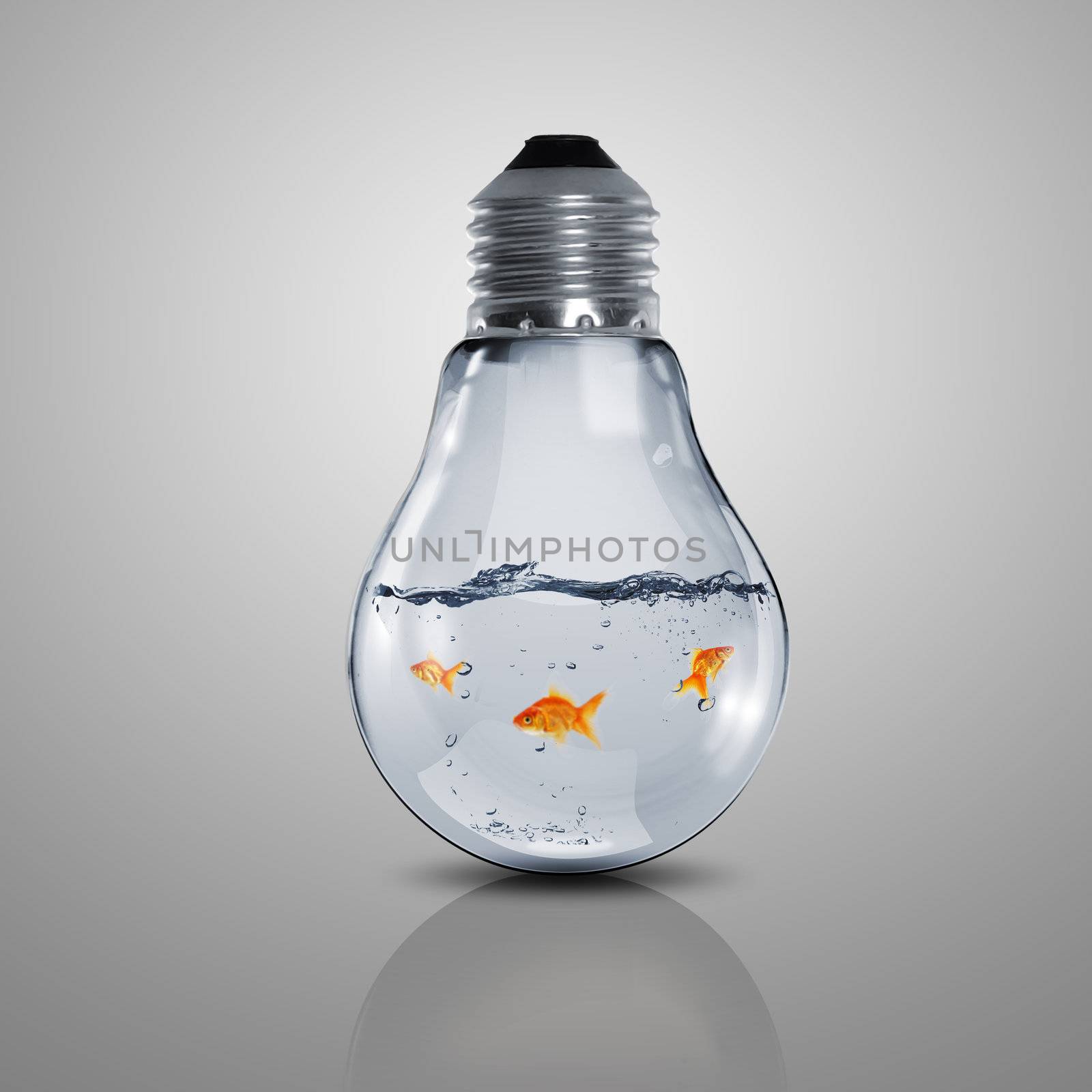 Gold fish in water inside an electric light bulb