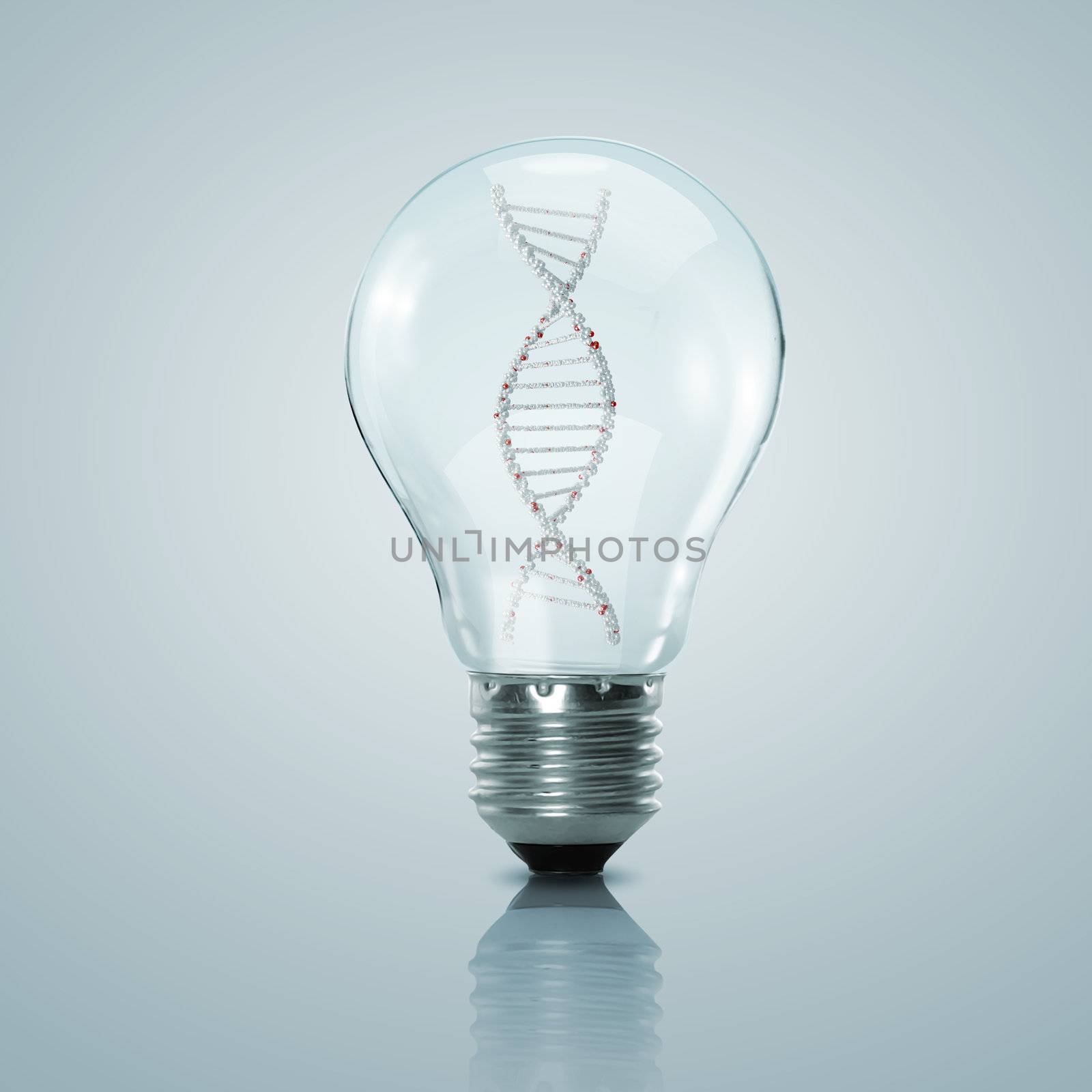 DNA inside bulb by sergey_nivens