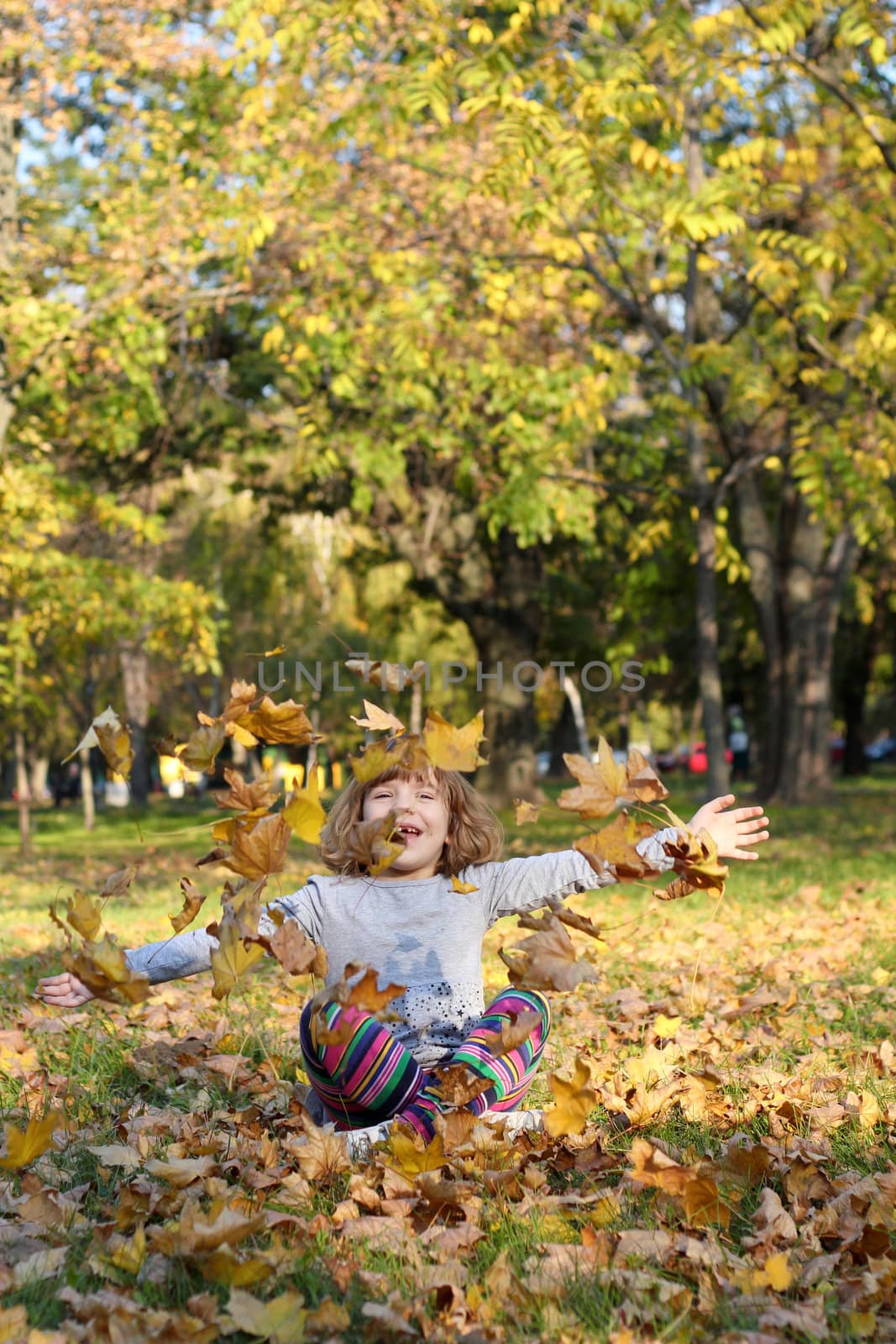 beautiful little girl throws autumn leaves by goce