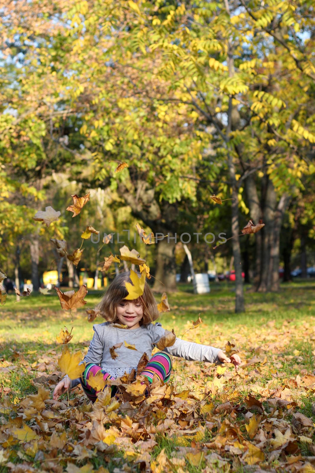 little girl play with autumn leaves by goce