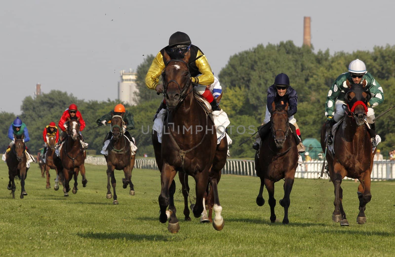 BUDAPEST - J�LIUS 1.
90th Hungarian Derby. Latin Lover and winning Jockey Charles Kerekes.
julius 1, 2012 in Hungary, Budapest, Kincsem park.