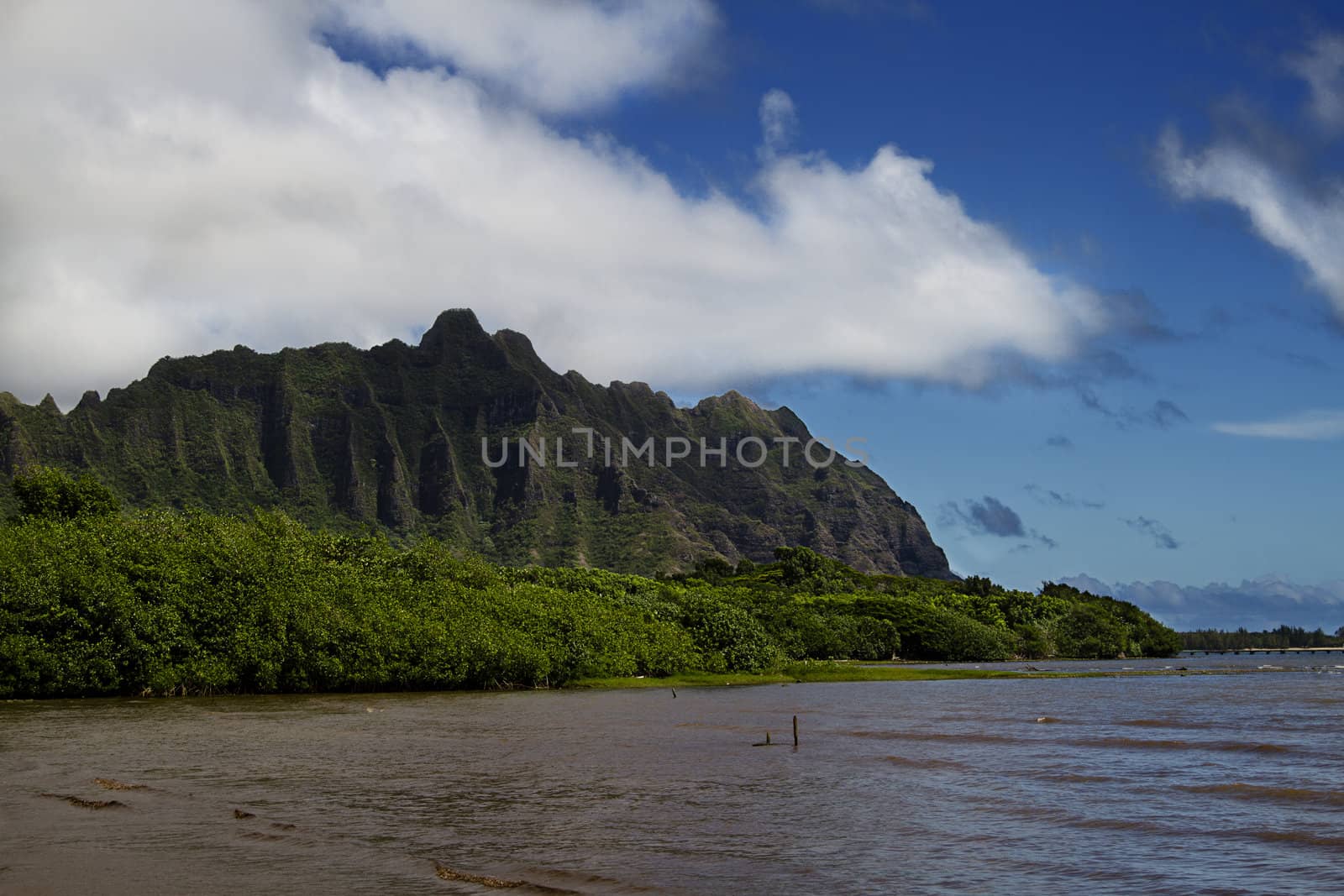 View of Kahana parc from Kahaluu beach