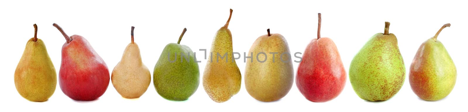 varieties of pears in front of white background