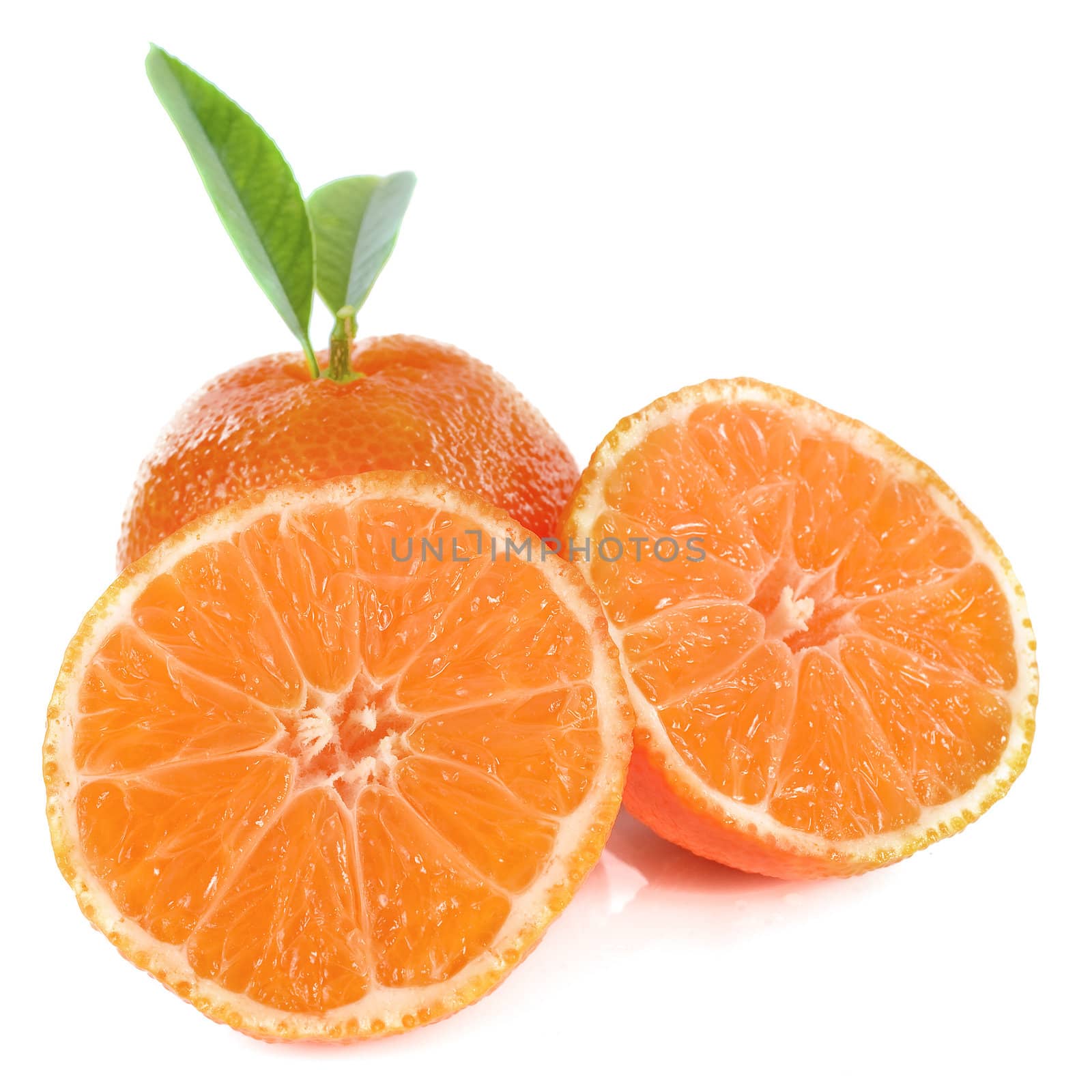 two citrus fruits in front of white background