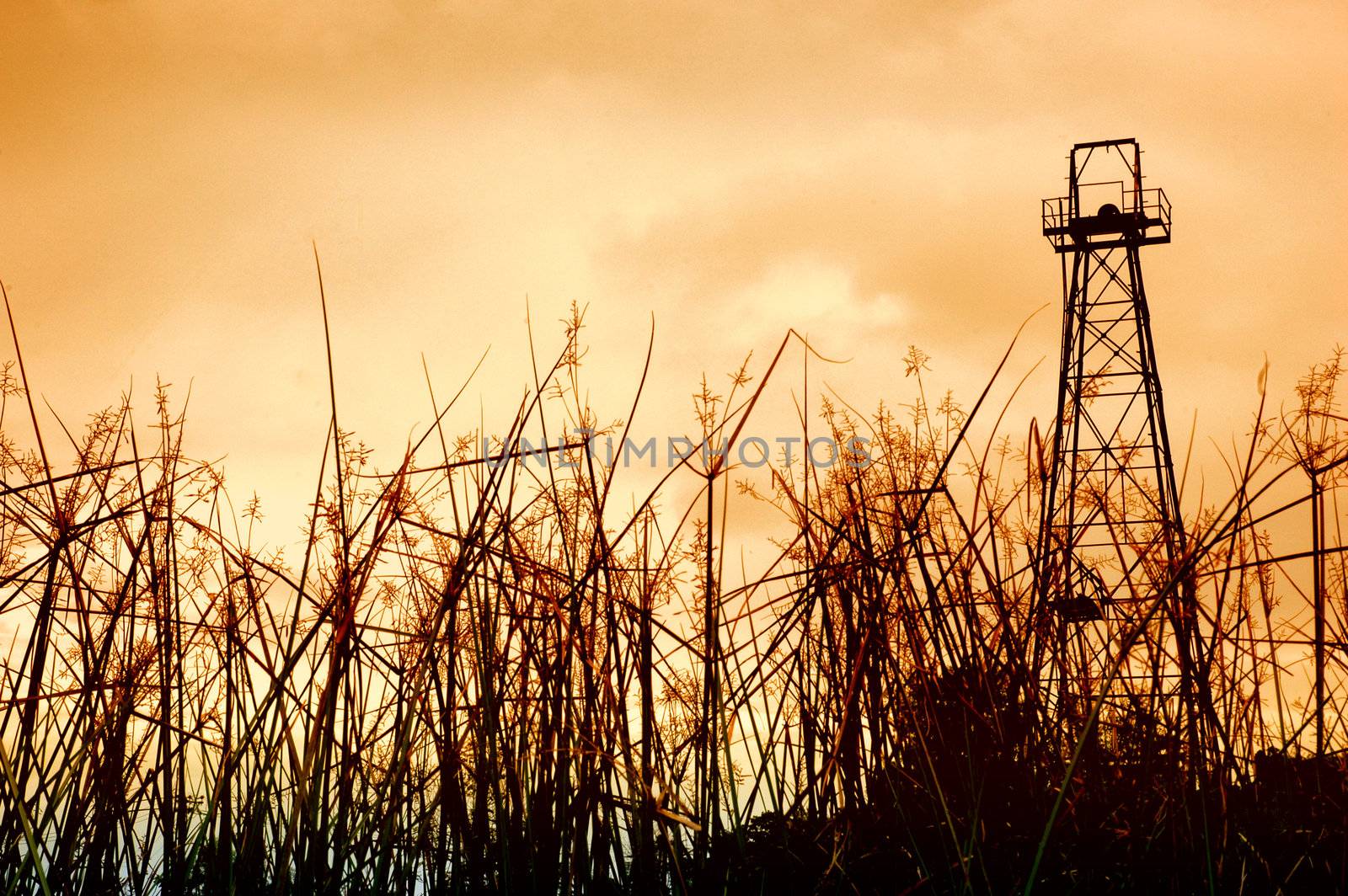 old oil tower and the foreground grass