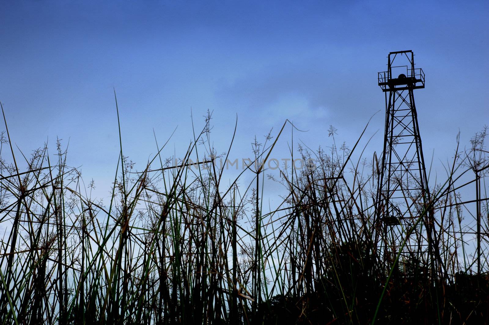 old oil tower and the foreground grass