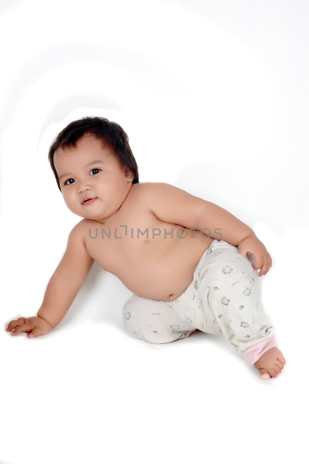 a chubby little girl posing isolated on white background
