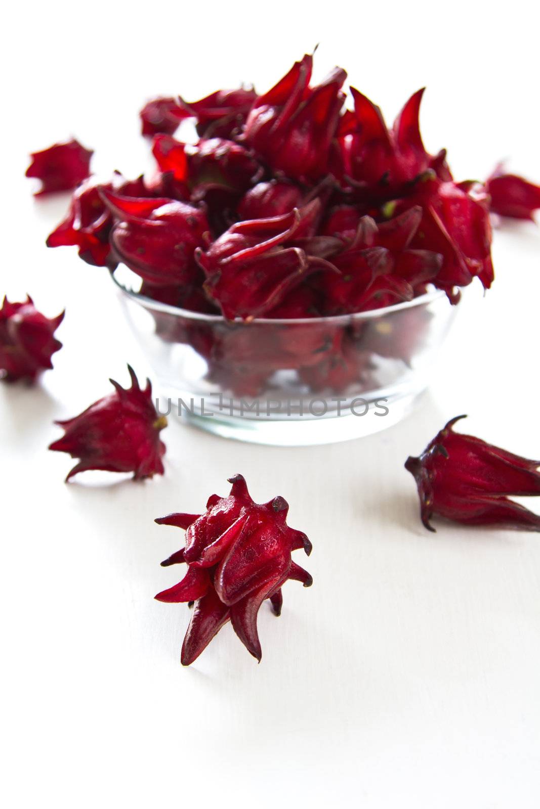 Roselle [Hibiscus sabdariffa] ,Deep red Herbal flower