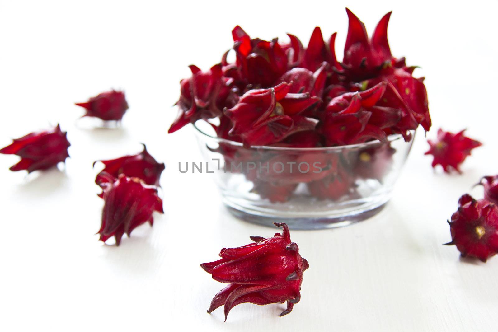 Roselle [Hibiscus sabdariffa] ,Deep red Herbal flower