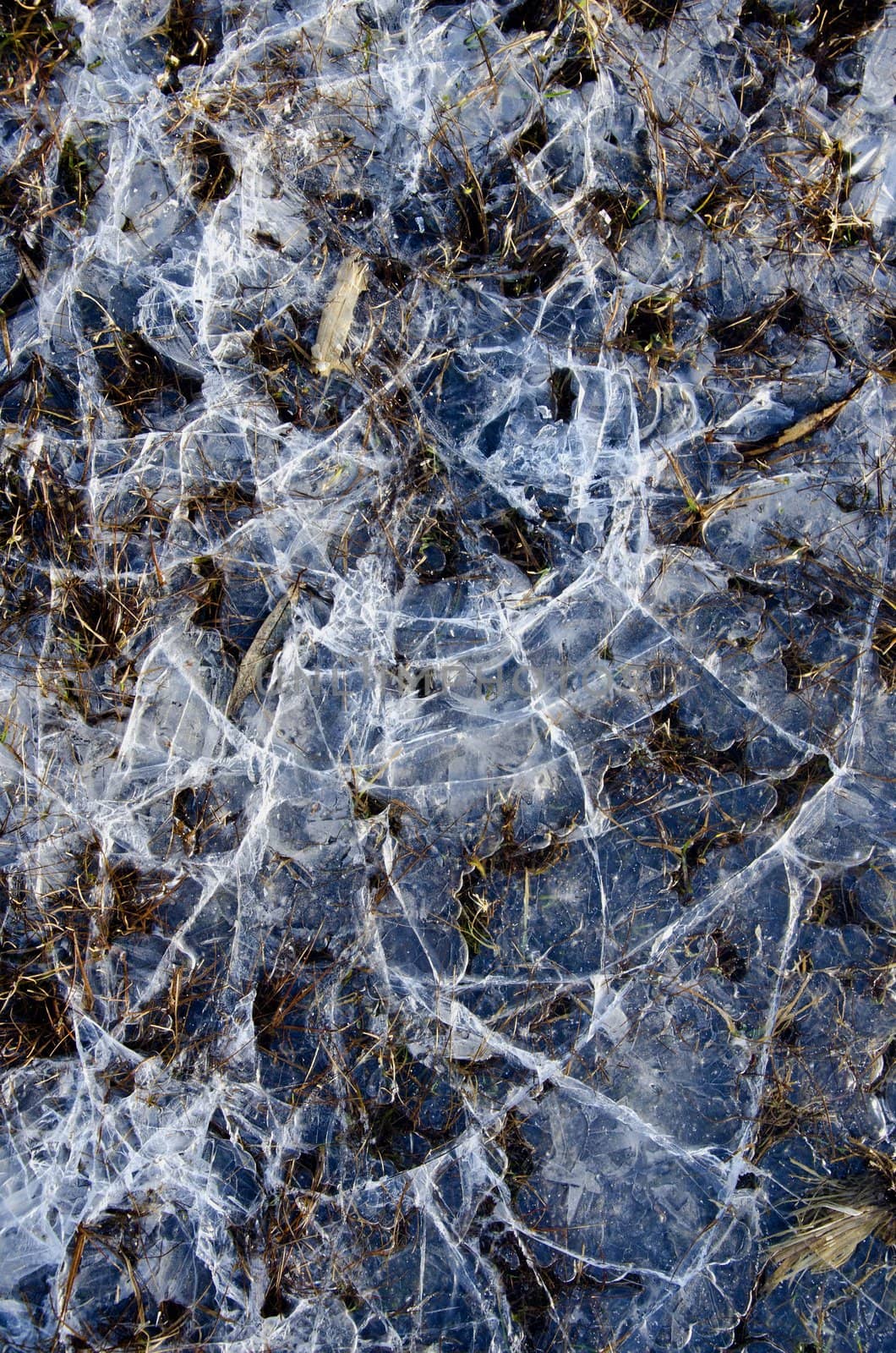 Cracked water ice on frozen bog. Closeup natural winter background backdrop.