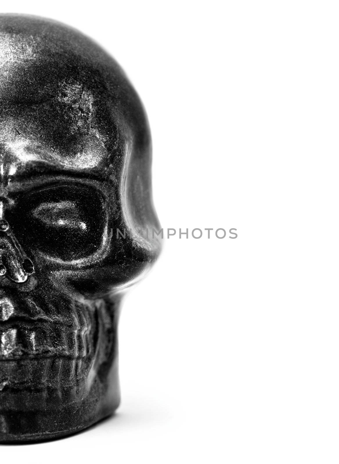 Half skull model in black and white