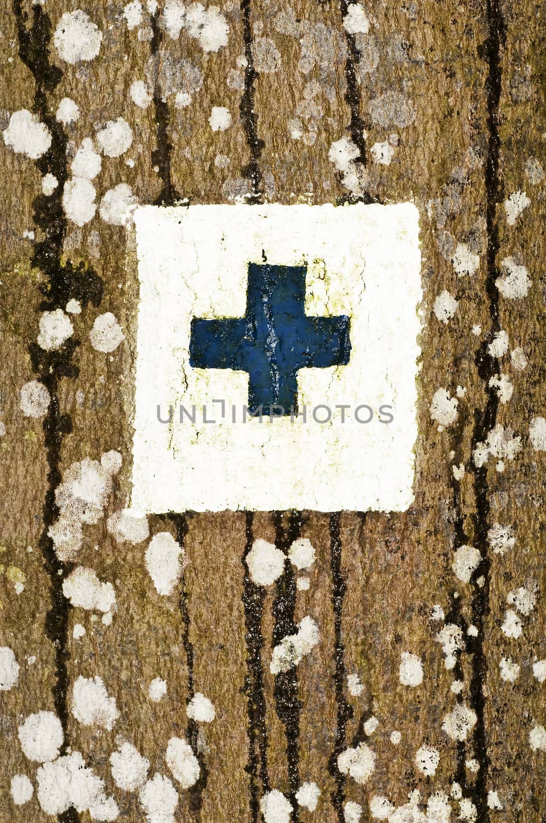 way marker on a tree by Jochen