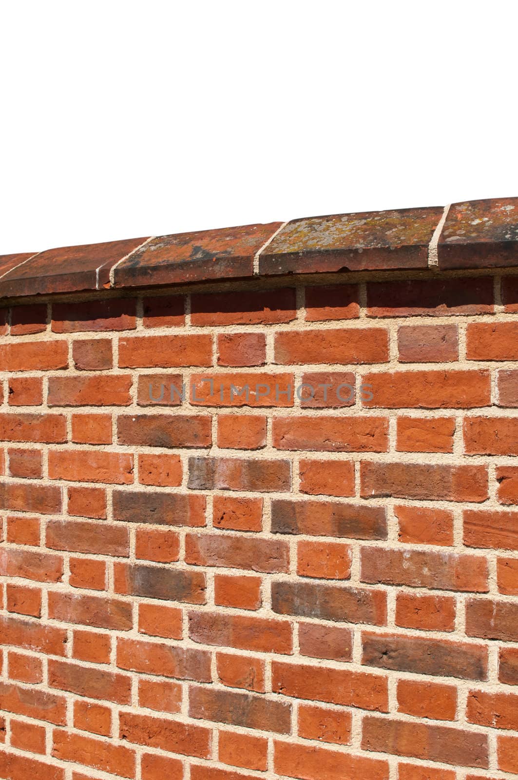 red brick wall isolated on white background (ready for your design)